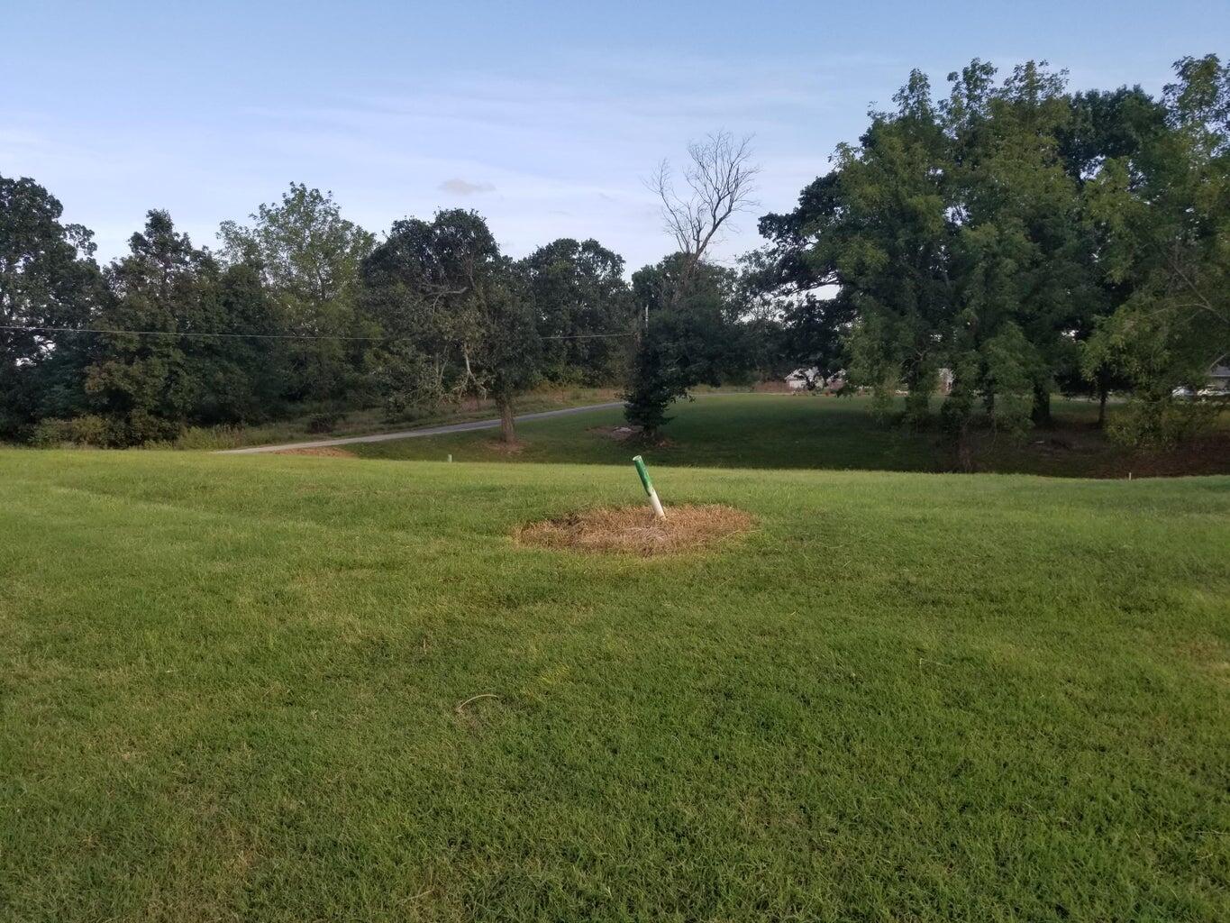 Land for sale – Lot 14  Fox Haven Drive  Mt Vernon, MO