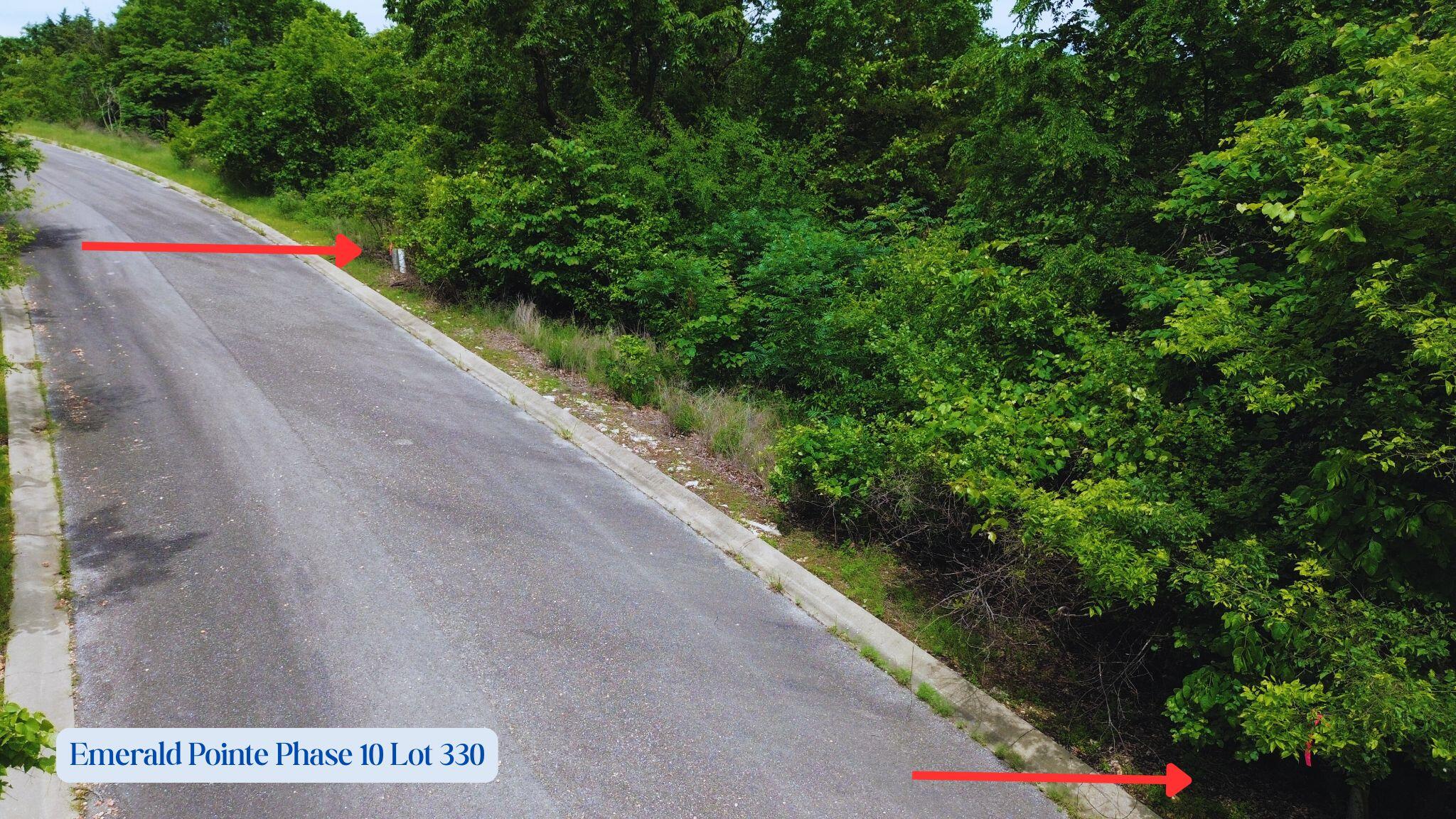Photo 2 - Land for sale – 000  Emerald Pointe Ph 10 Lt 330   Hollister, MO