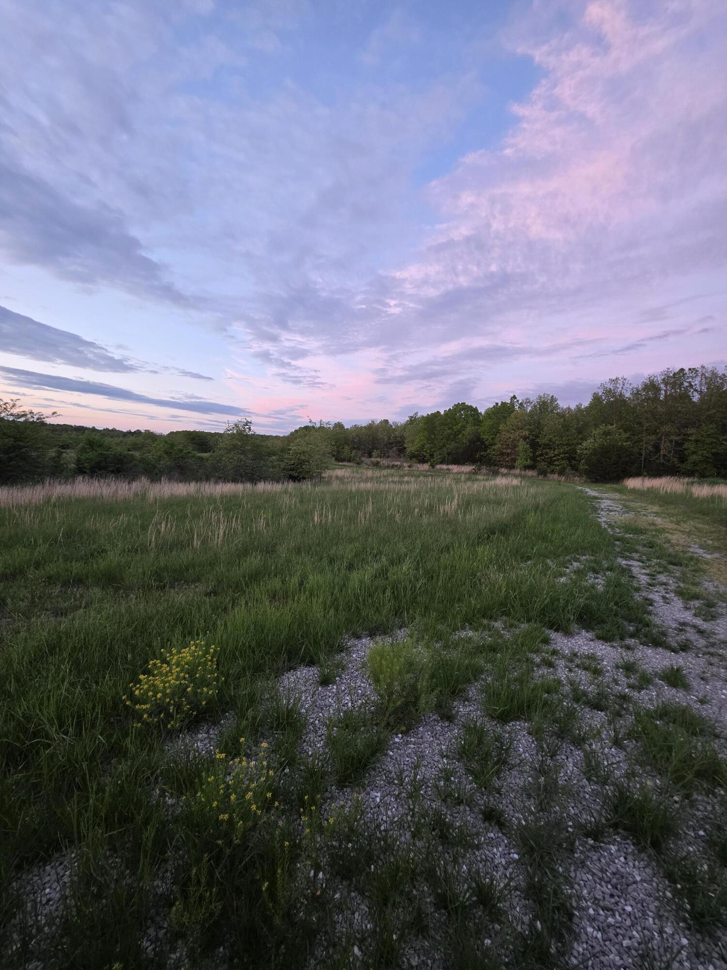 Photo 14 - Land for sale – 000  State Highway Mm   Niangua, MO