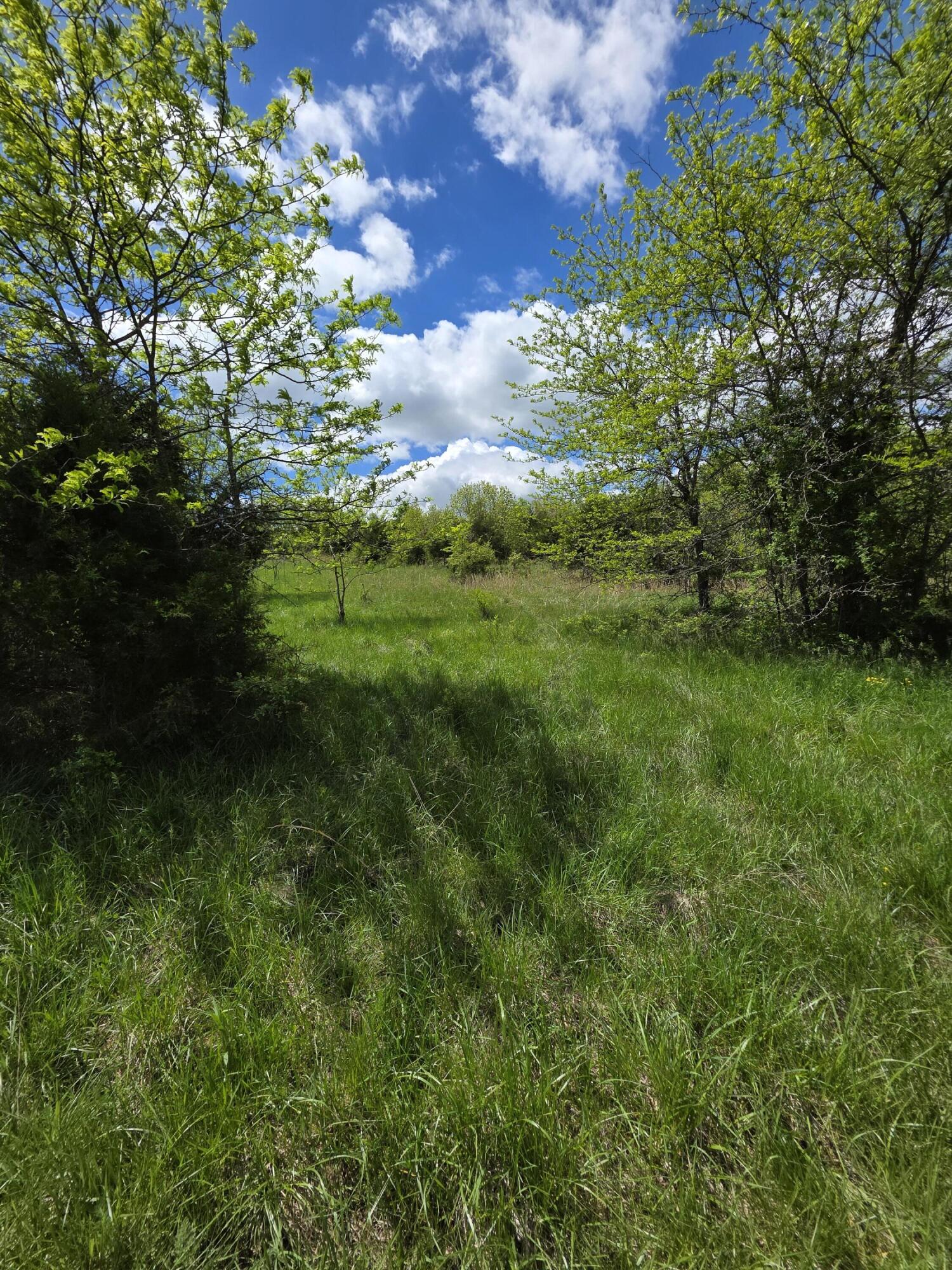 Photo 18 - Land for sale – 000  State Highway Mm   Niangua, MO