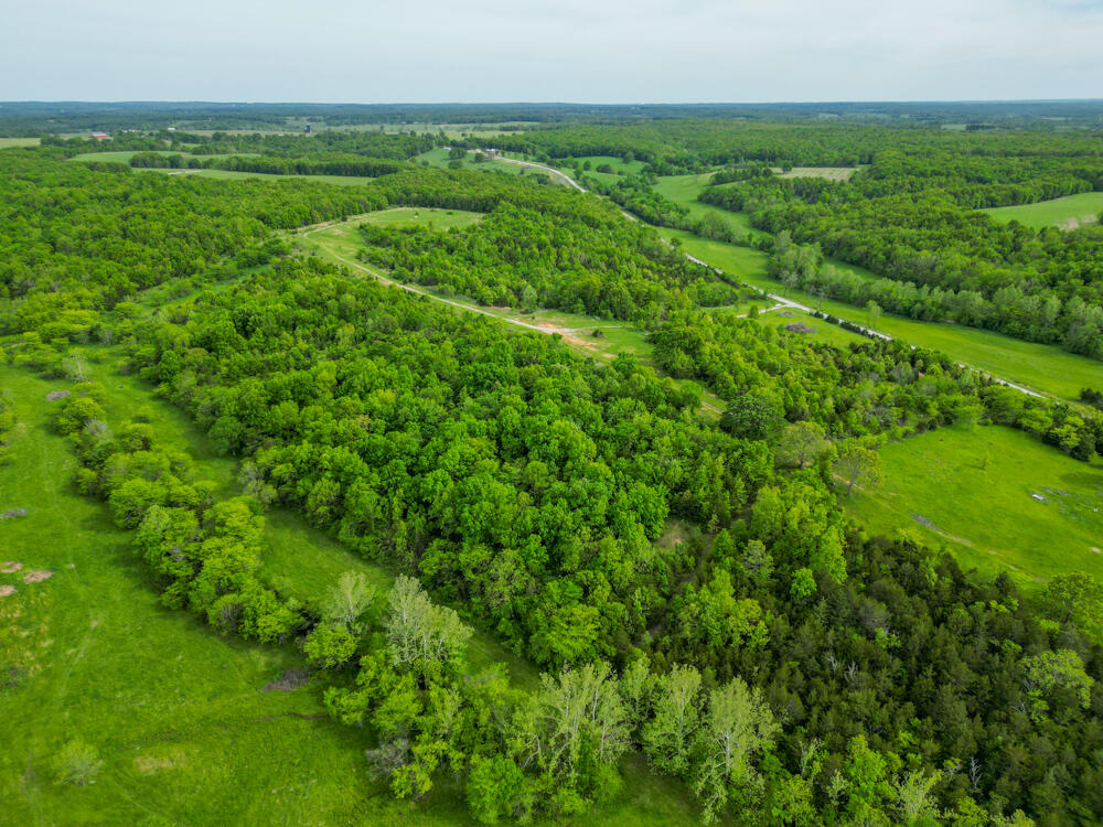 Photo 20 - Land for sale – 000  State Highway Mm   Niangua, MO