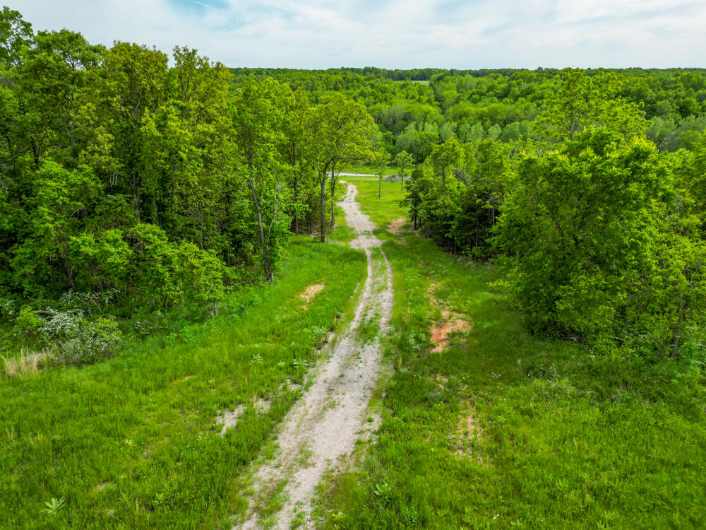 Photo 3 - Land for sale – 000  State Highway Mm   Niangua, MO