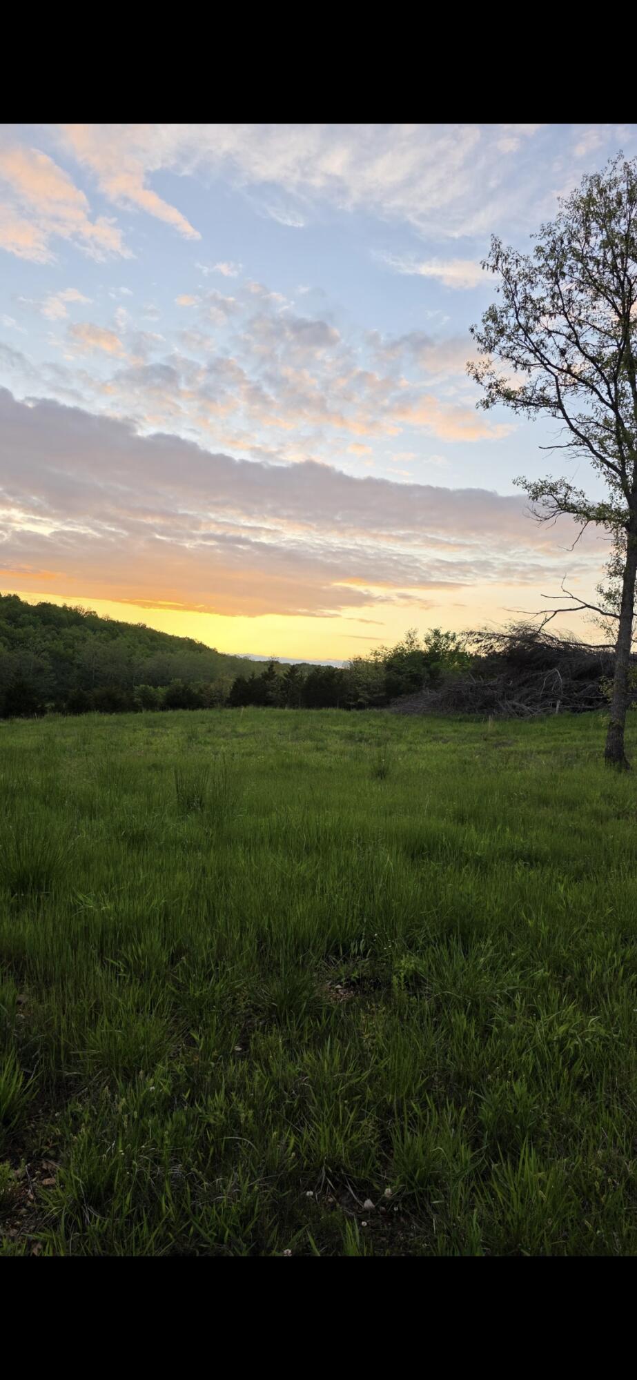 Photo 4 - Land for sale – 000  State Highway Mm   Niangua, MO