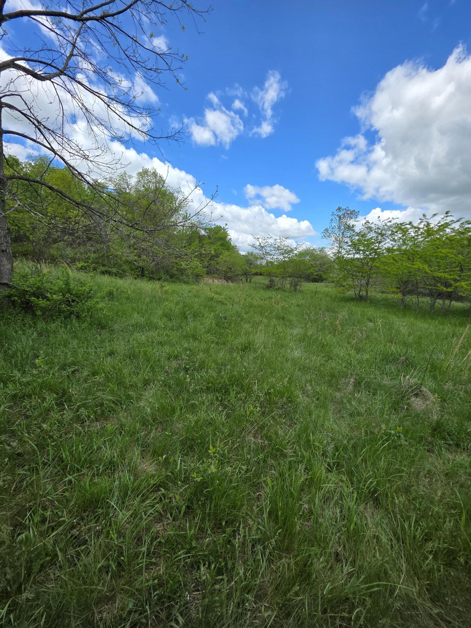 Photo 17 - Land for sale – 000  State Highway Mm   Niangua, MO