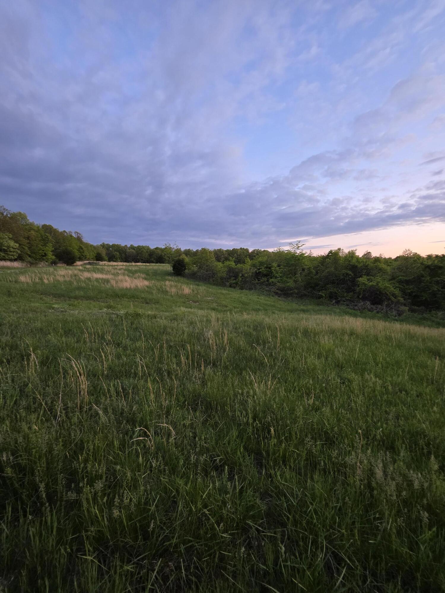 Photo 13 - Land for sale – 000  State Highway Mm   Niangua, MO