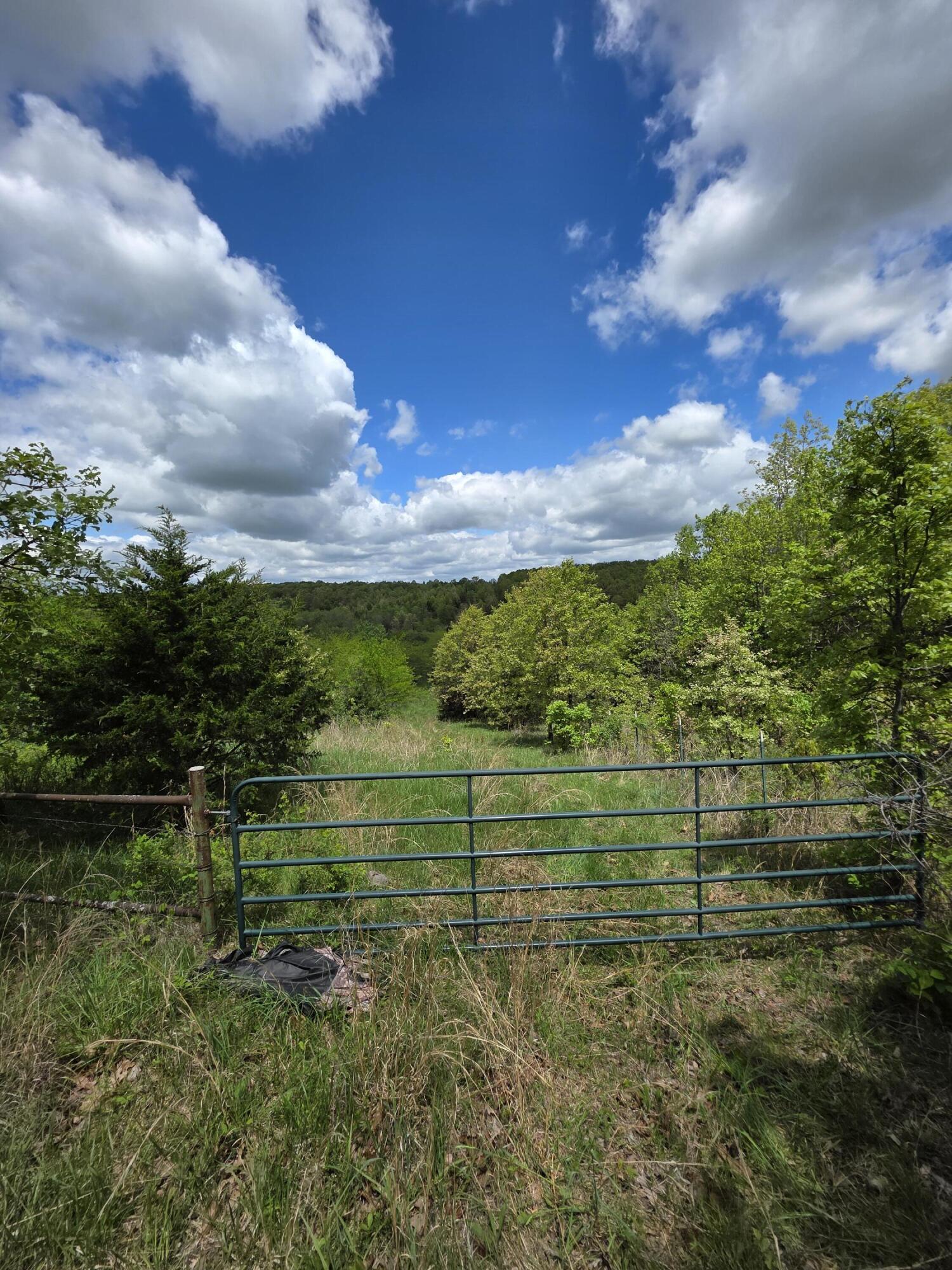 Photo 16 - Land for sale – 000  State Highway Mm   Niangua, MO