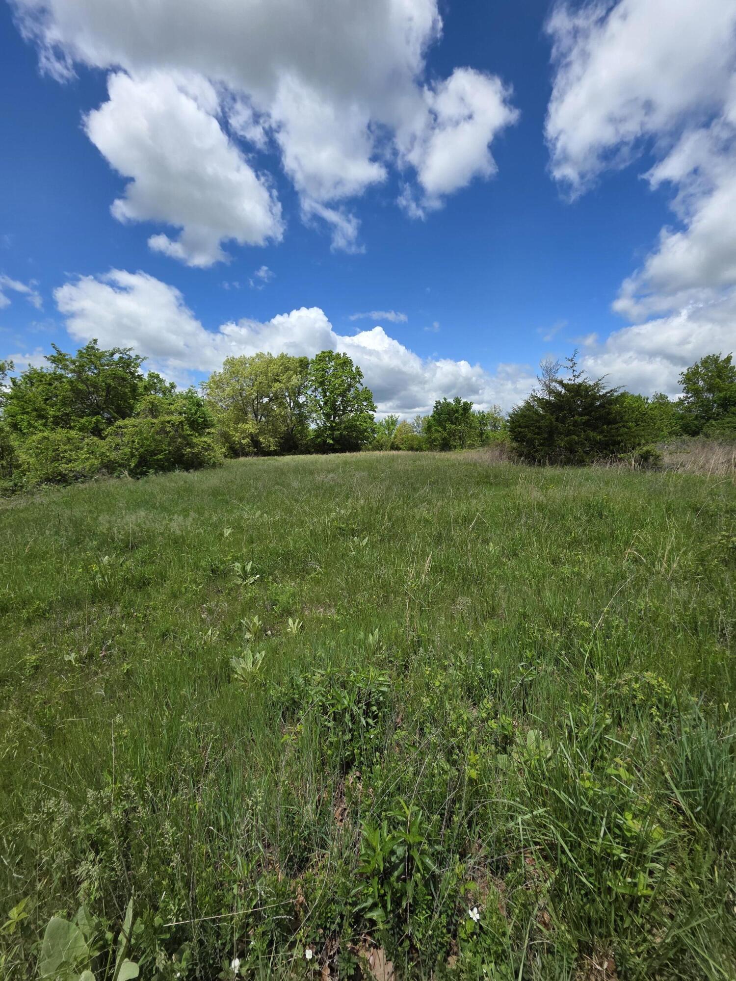 Photo 11 - Land for sale – 000  State Highway Mm   Niangua, MO