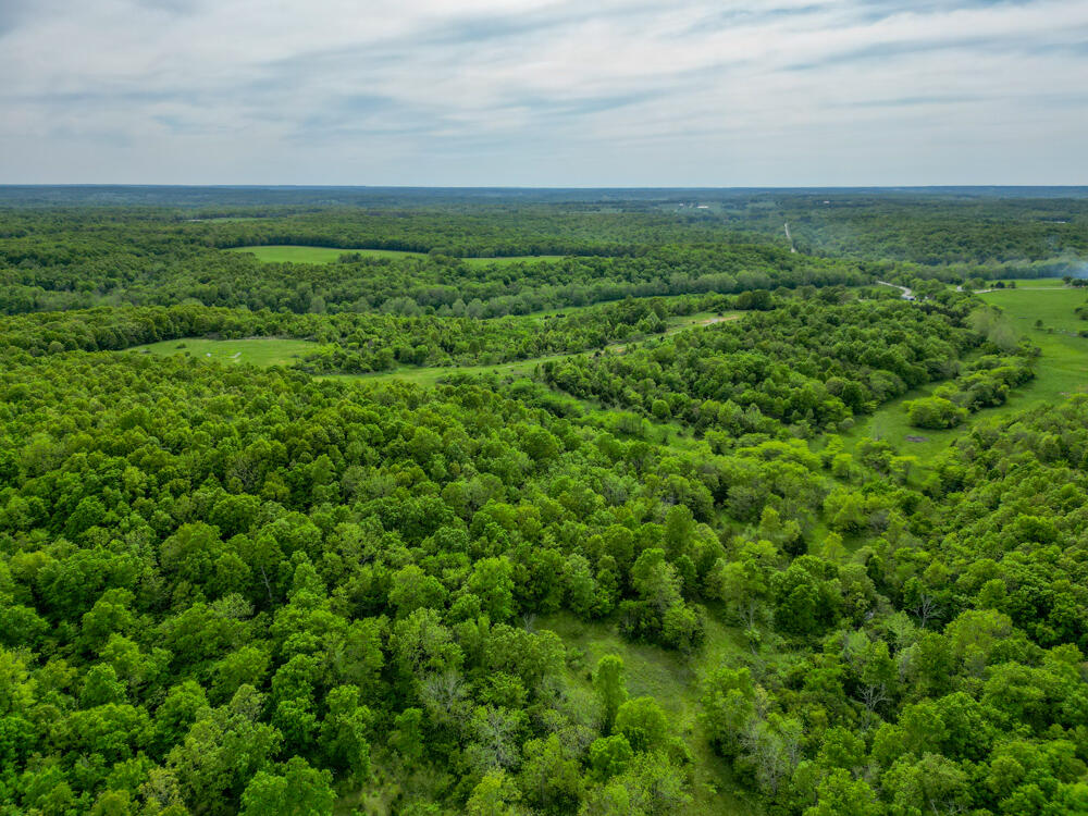 Photo 22 - Land for sale – 000  State Highway Mm   Niangua, MO