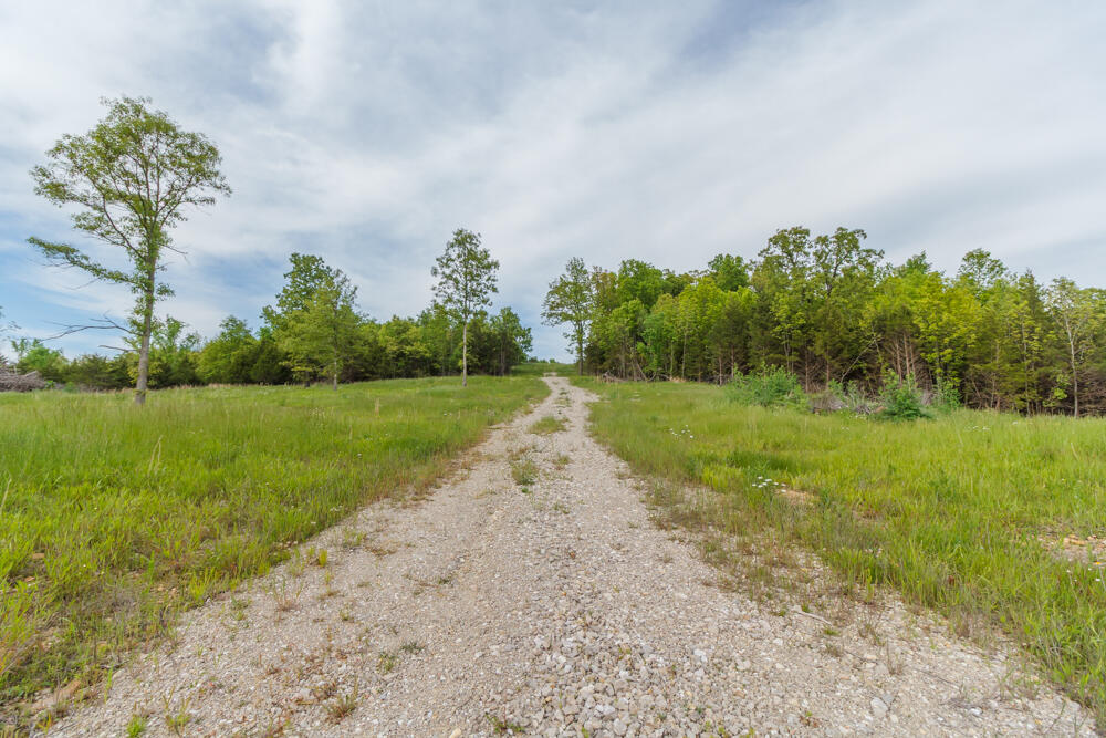 Photo 2 - Land for sale – 000  State Highway Mm   Niangua, MO