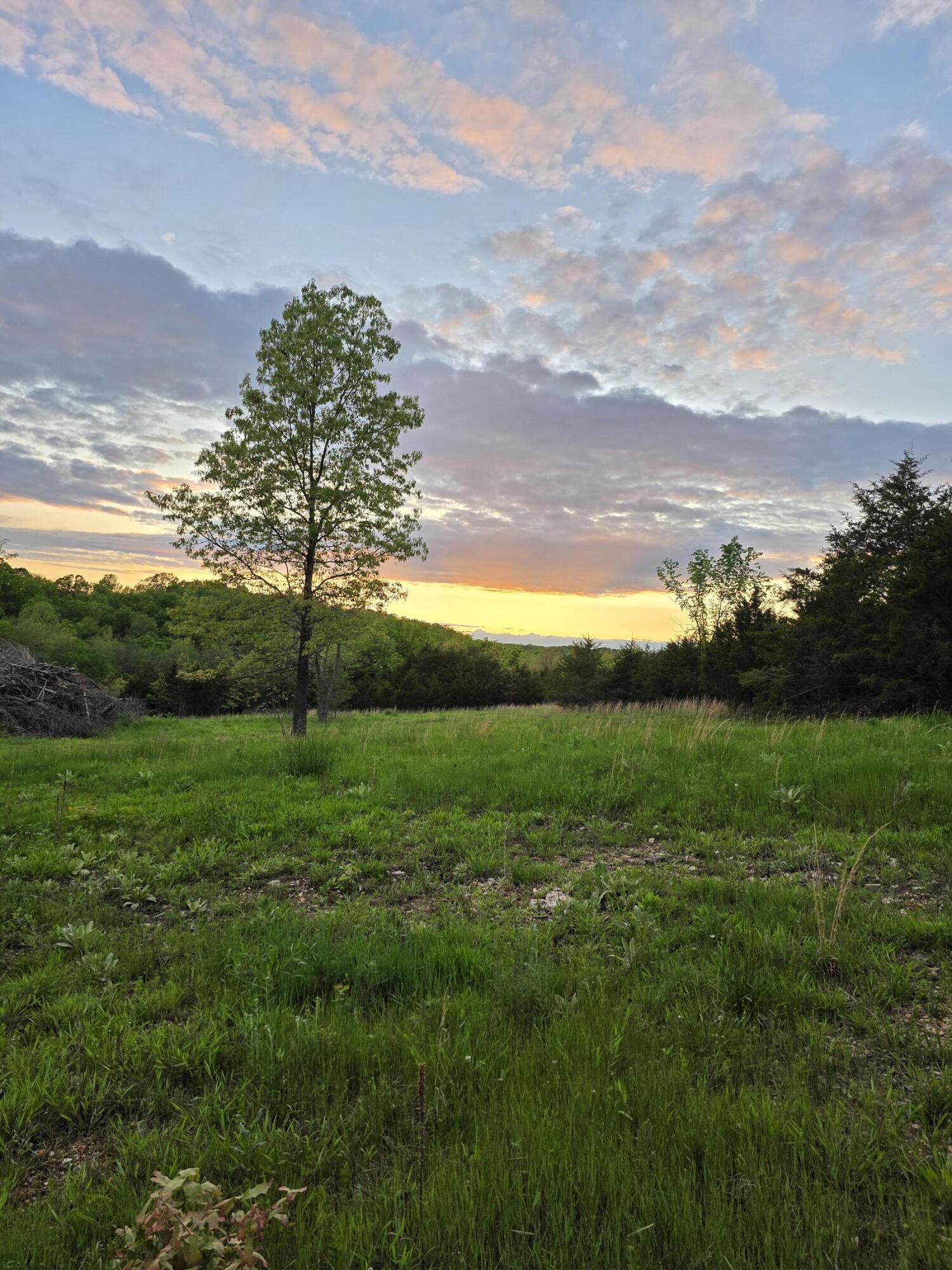 Photo 5 - Land for sale – 000  State Highway Mm   Niangua, MO