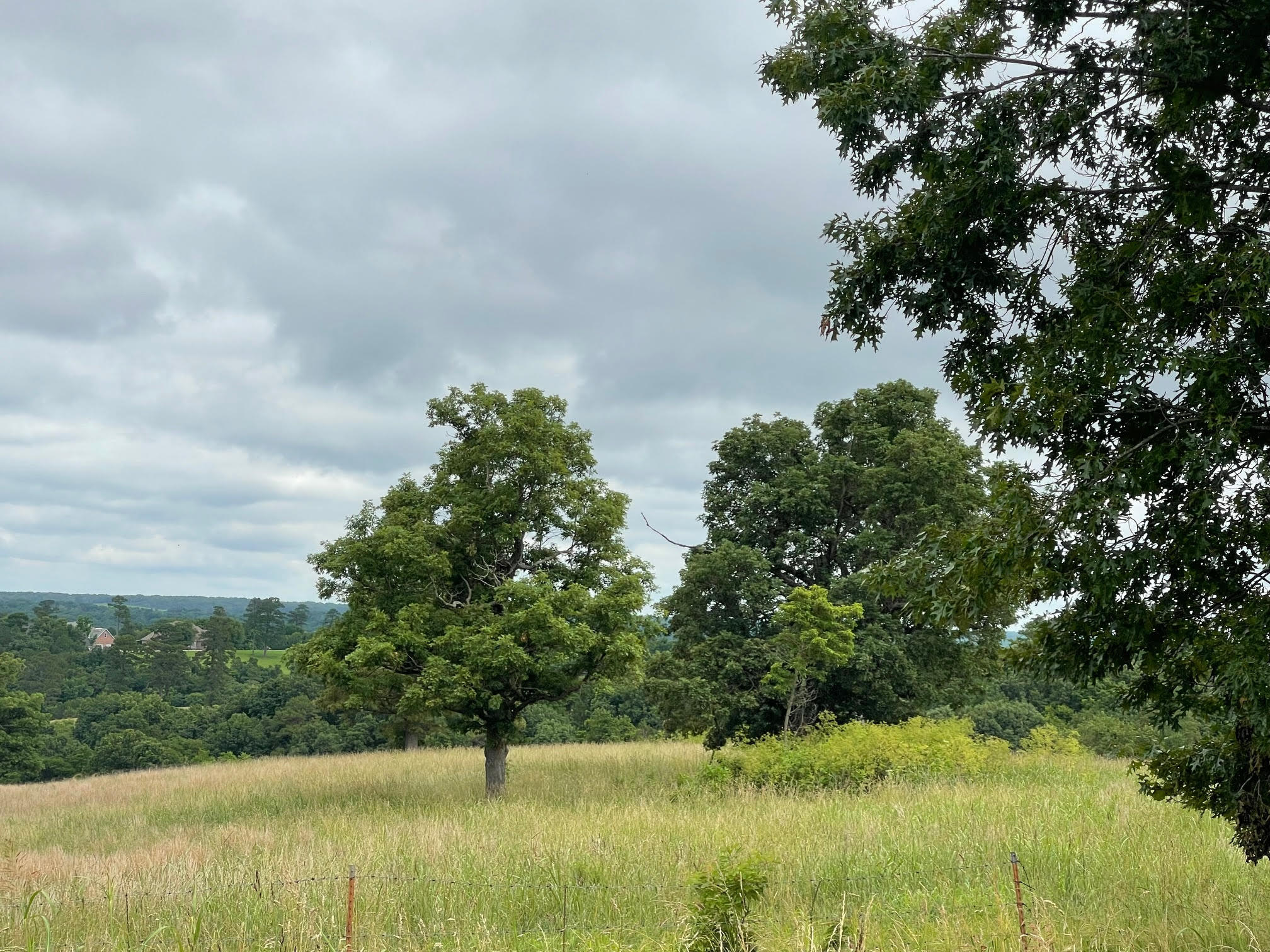 Photo 2 - Land for sale – 16.7 Ac  Turkey Ridge Court  Pineville, MO