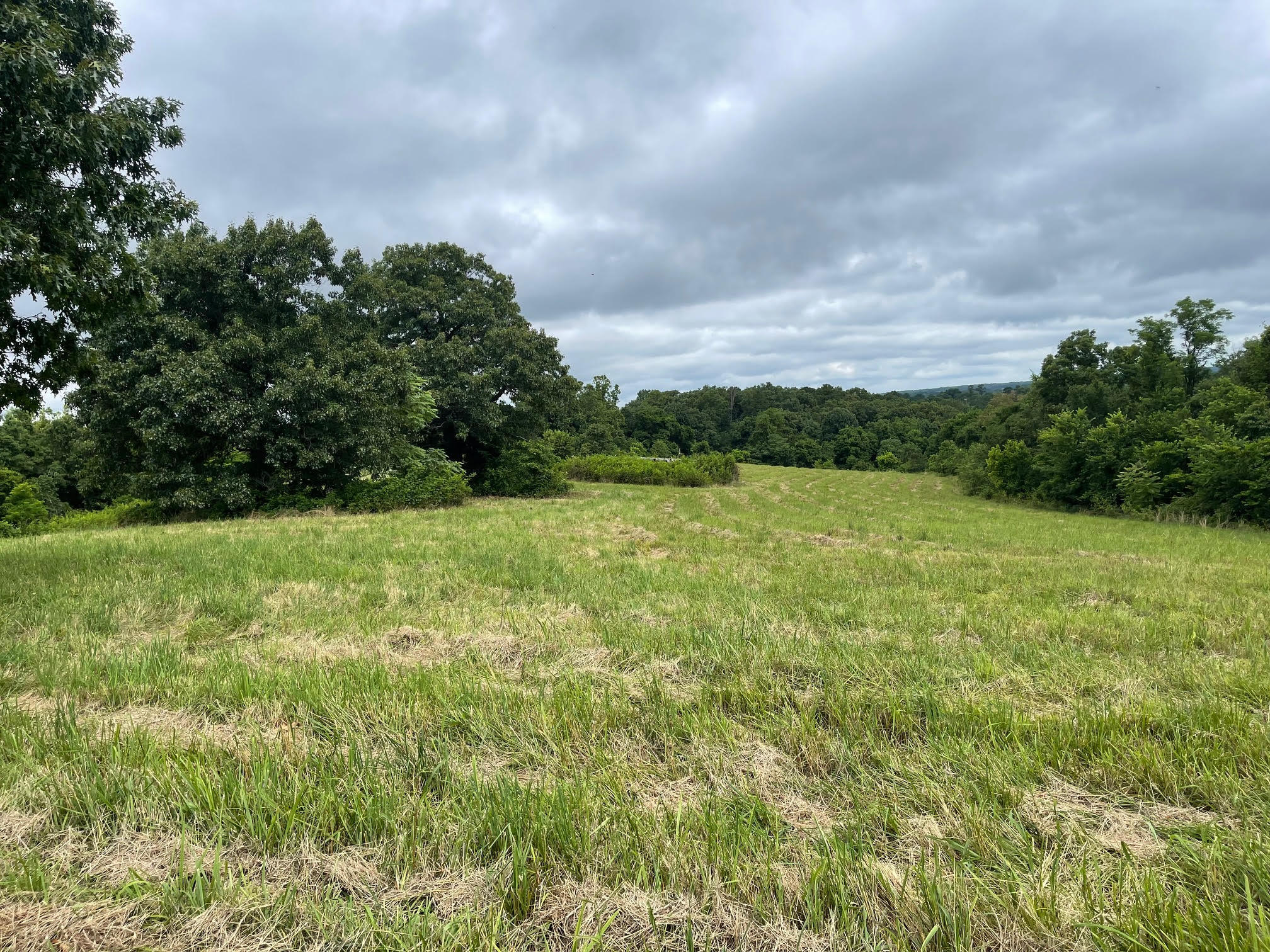 Photo 7 - Land for sale – 16.7 Ac  Turkey Ridge Court  Pineville, MO