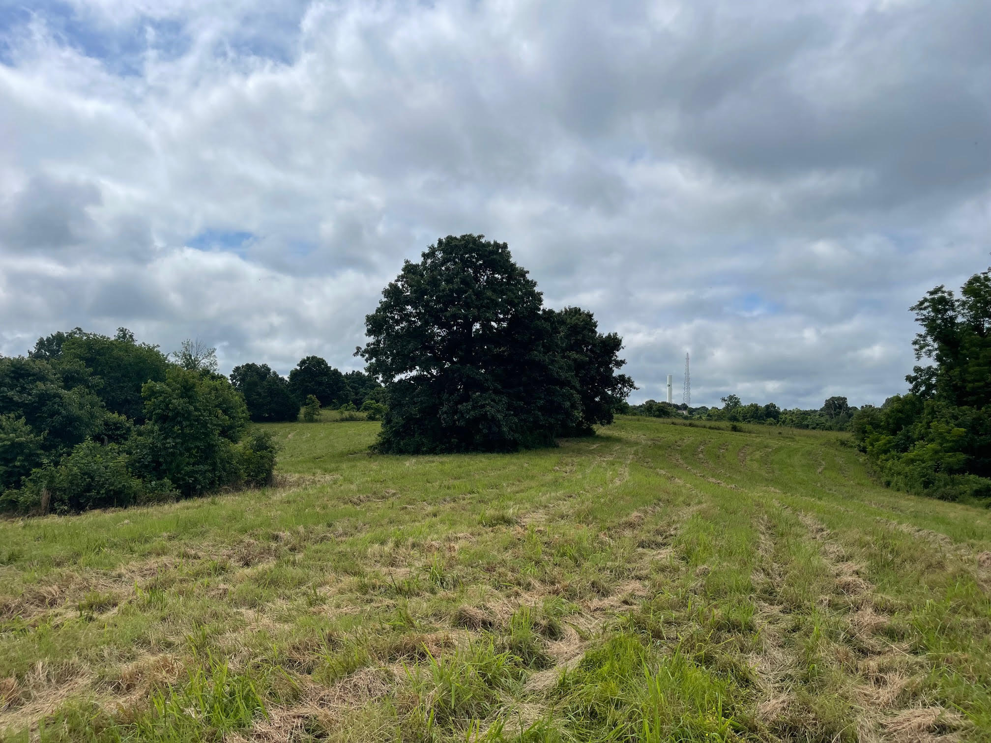 Photo 8 - Land for sale – 16.7 Ac  Turkey Ridge Court  Pineville, MO