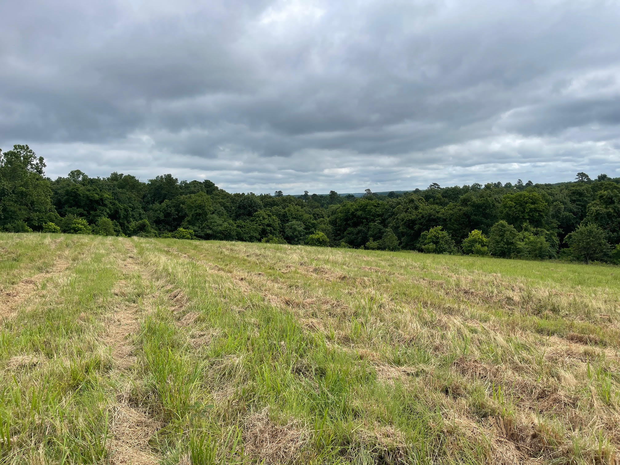 Photo 5 - Land for sale – 16.7 Ac  Turkey Ridge Court  Pineville, MO