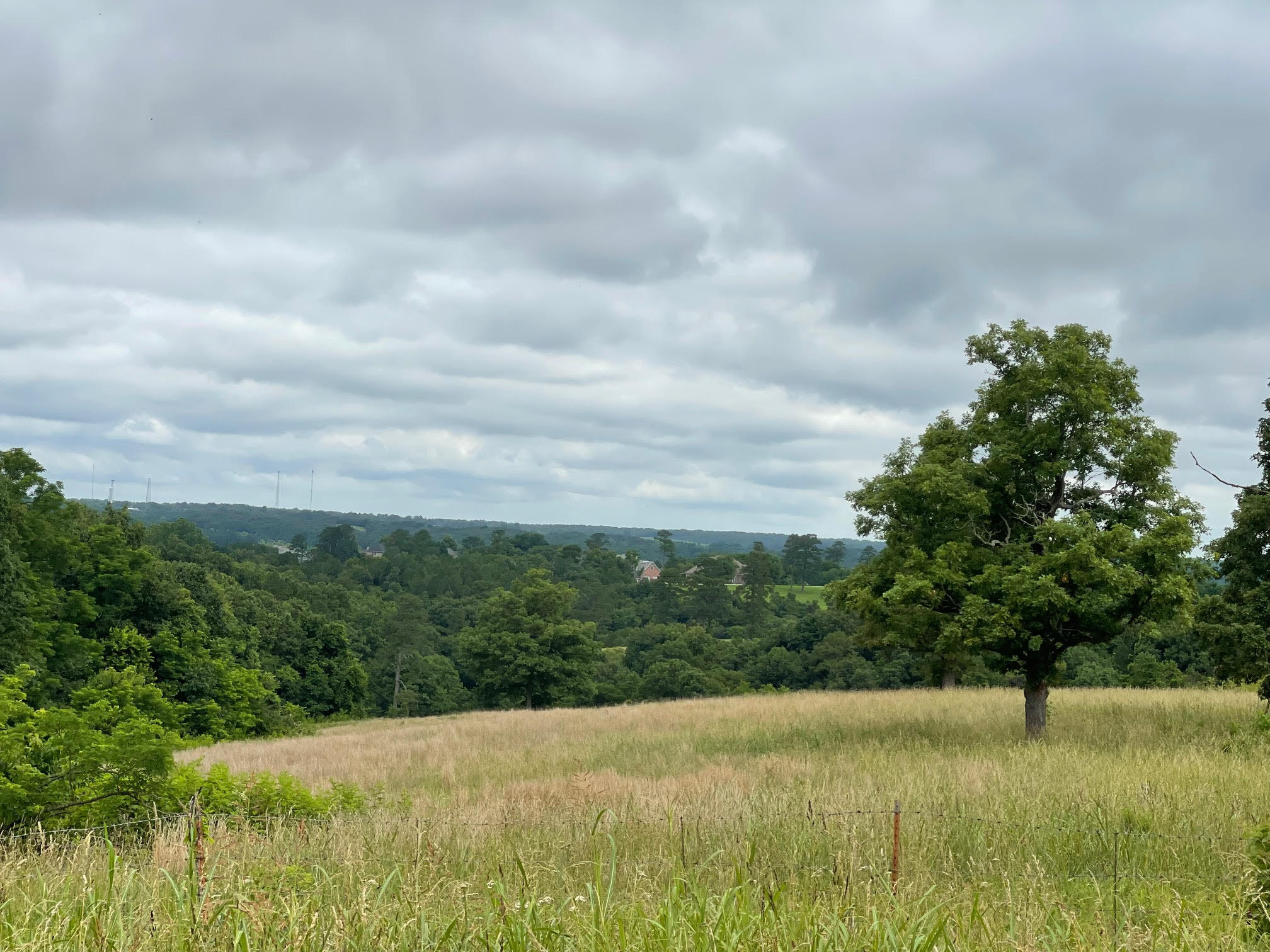 Land for sale – 16.7 Ac  Turkey Ridge Court  Pineville, MO
