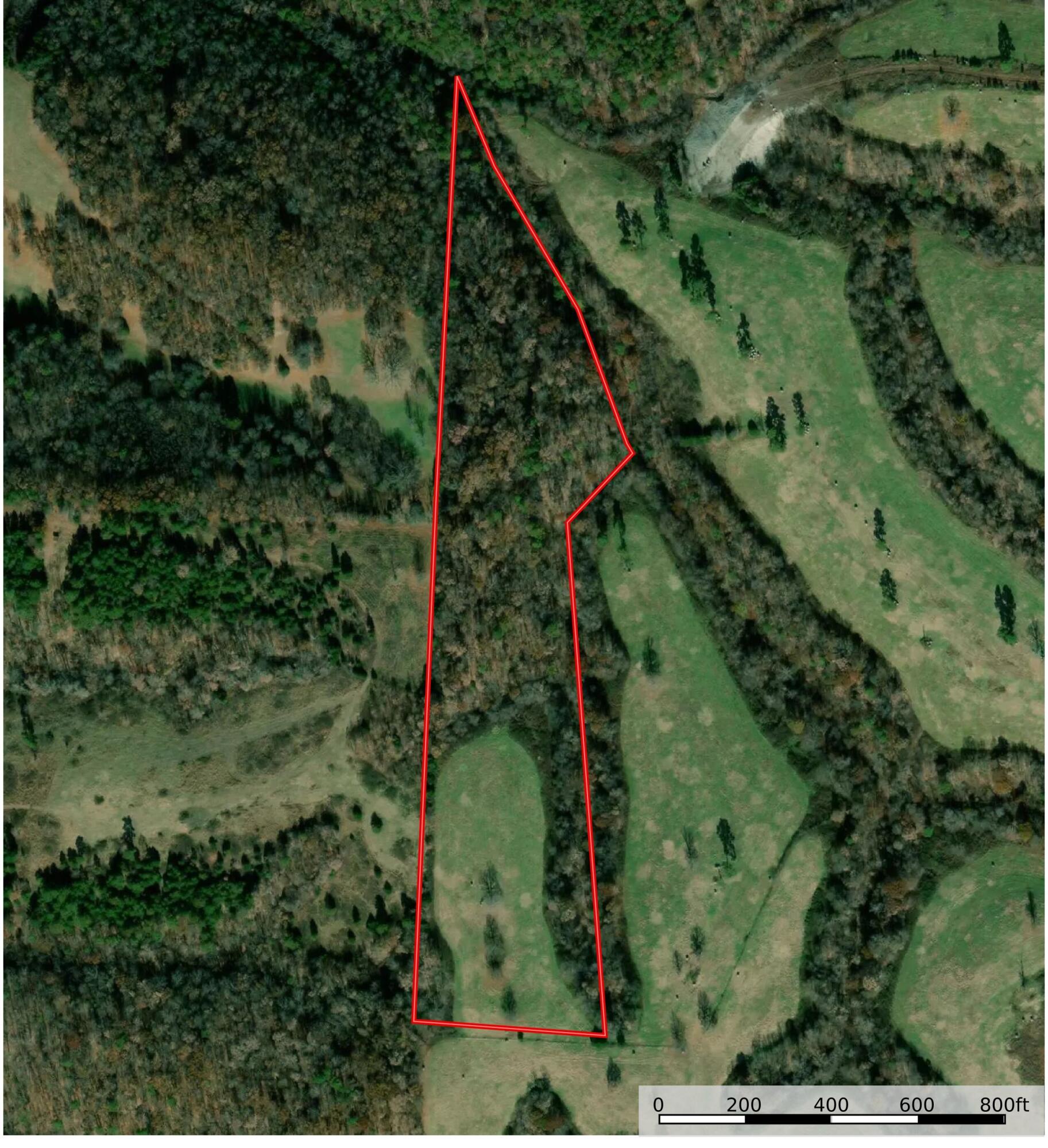 Photo 9 - Land for sale – 16.7 Ac  Turkey Ridge Court  Pineville, MO