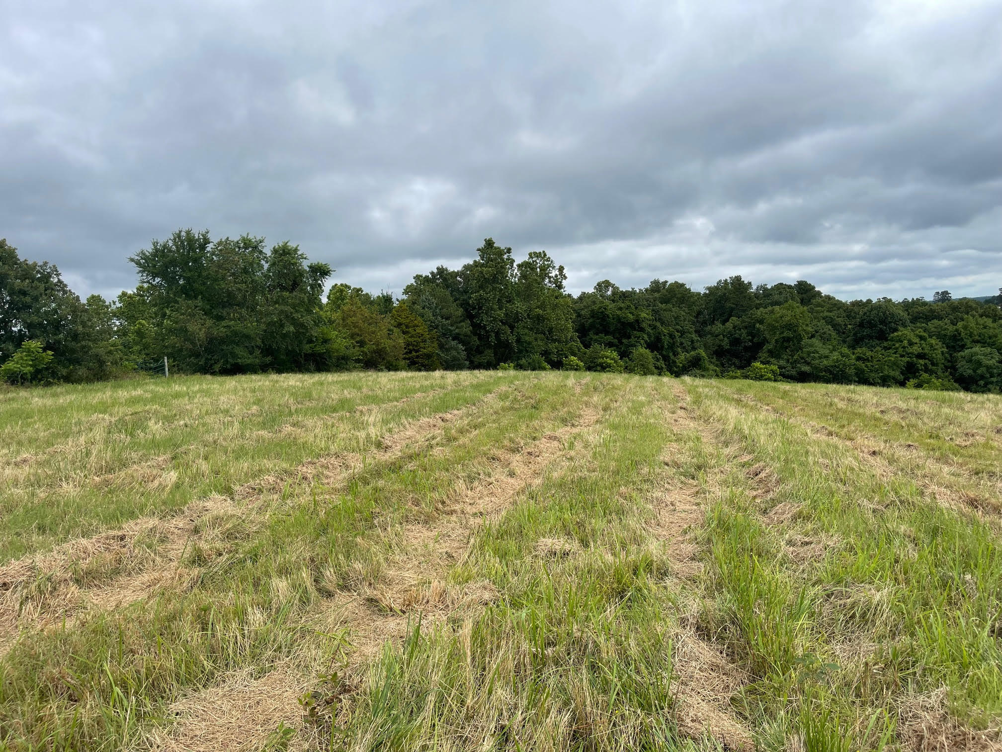 Photo 4 - Land for sale – 16.7 Ac  Turkey Ridge Court  Pineville, MO