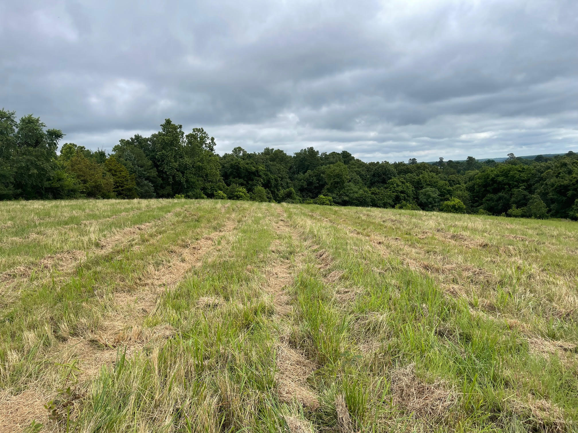 Photo 3 - Land for sale – 16.7 Ac  Turkey Ridge Court  Pineville, MO