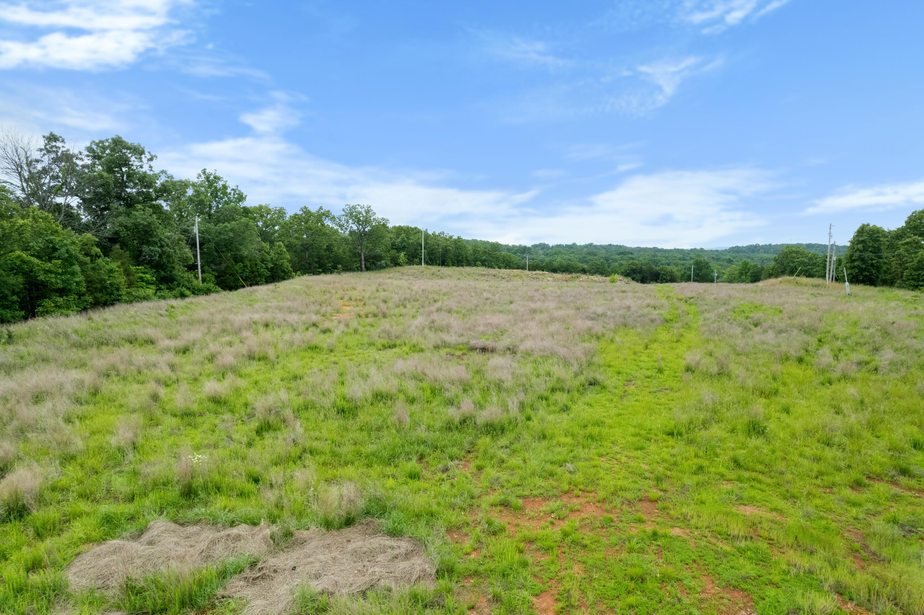 Photo 6 - Land for sale – 20376  Highway 160   Forsyth, MO