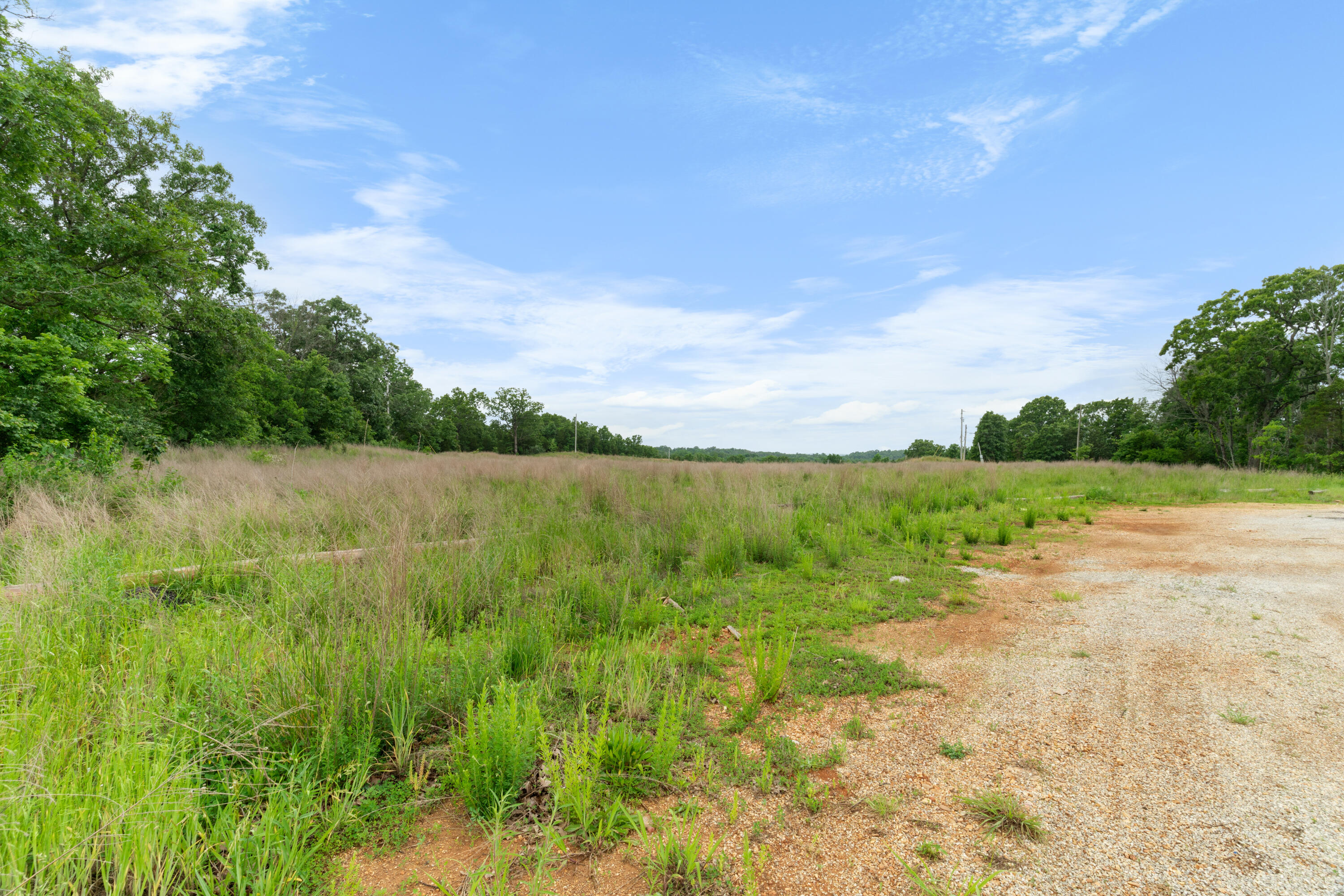 Photo 20 - Land for sale – 20376  Highway 160   Forsyth, MO