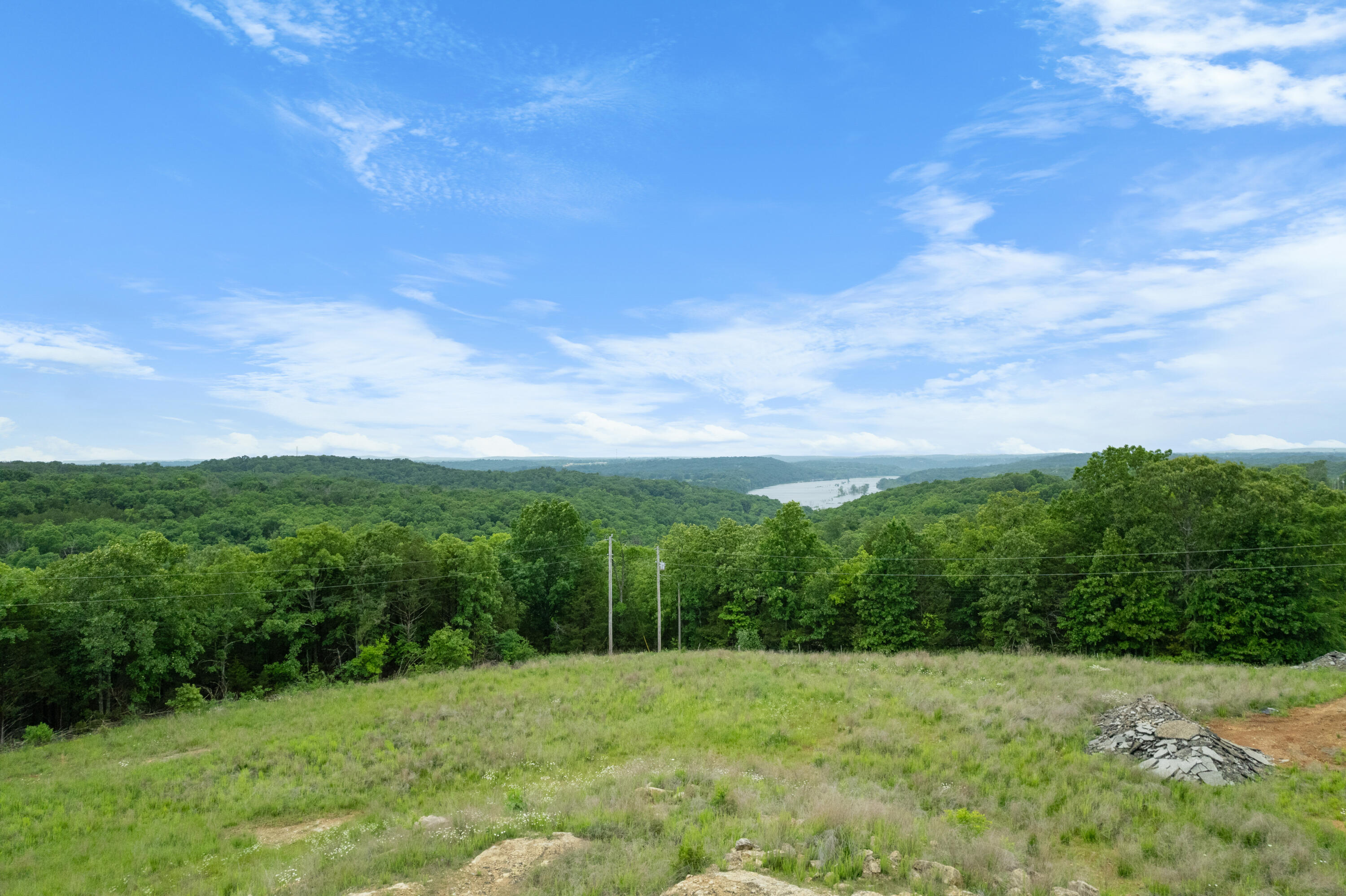 Photo 18 - Land for sale – 20376  Highway 160   Forsyth, MO