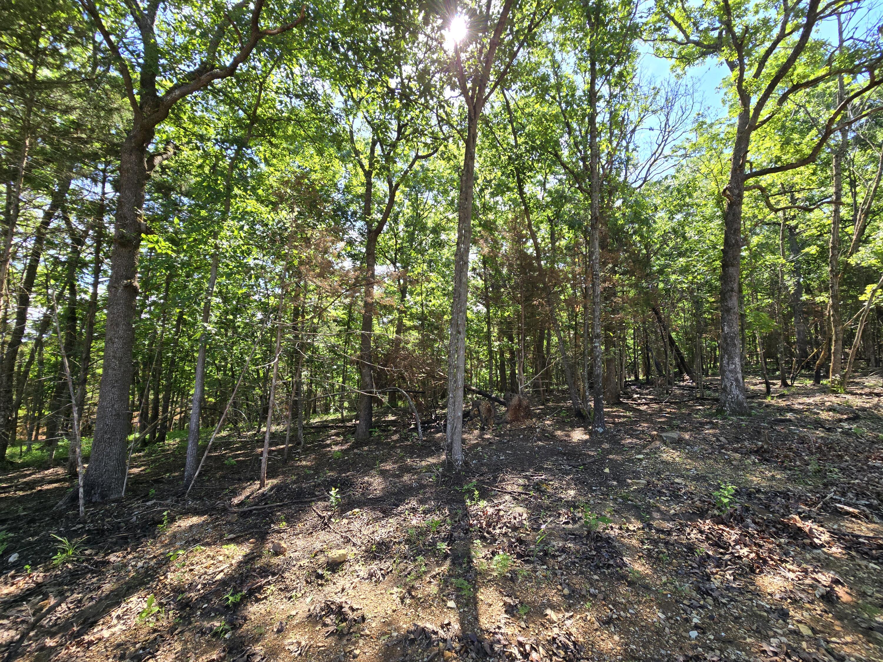 Photo 3 - Land for sale – Lot 6  Block 12 Tall Oaks   Pittsburg, MO