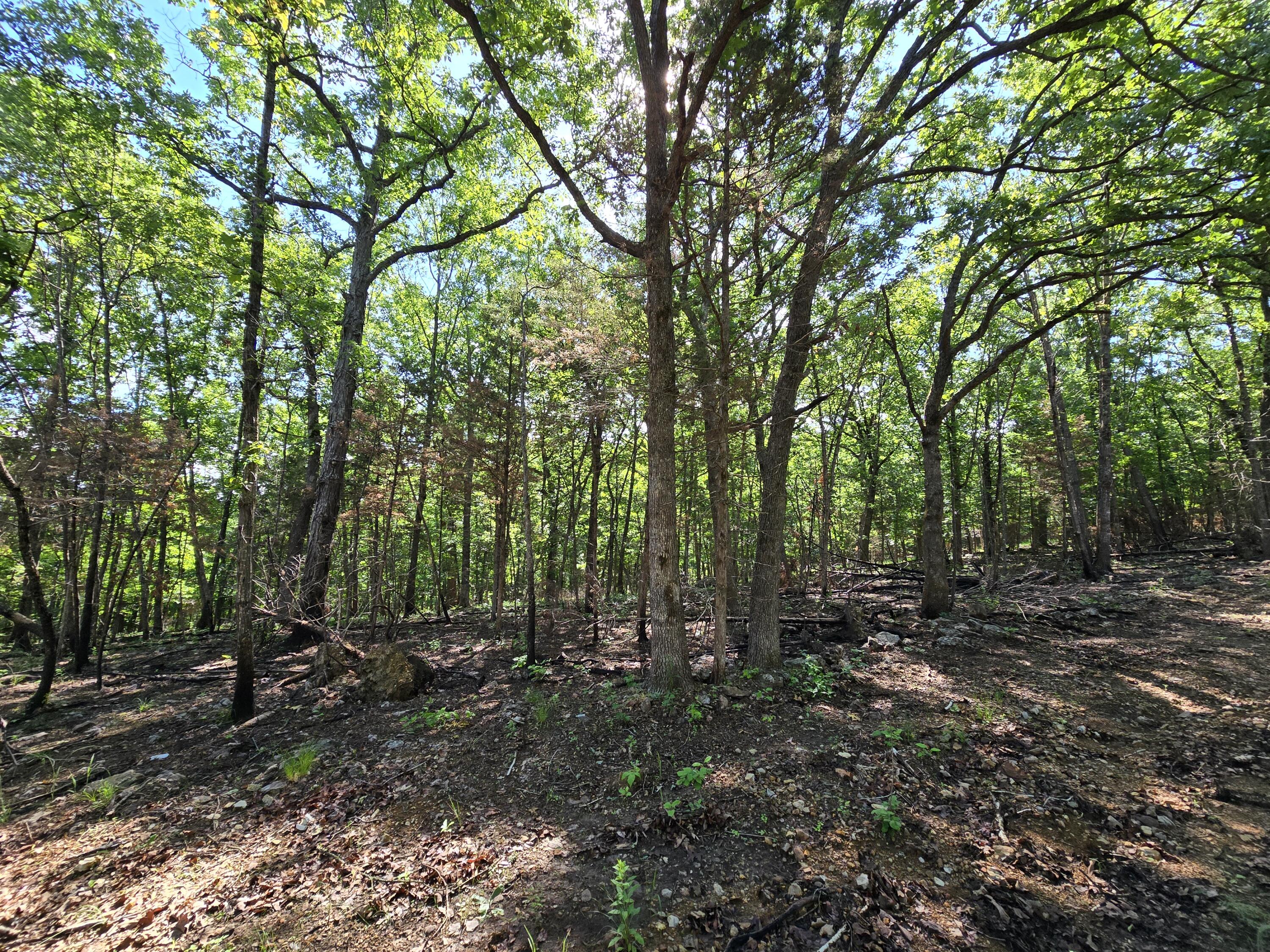 Photo 2 - Land for sale – Lot 6  Block 12 Tall Oaks   Pittsburg, MO