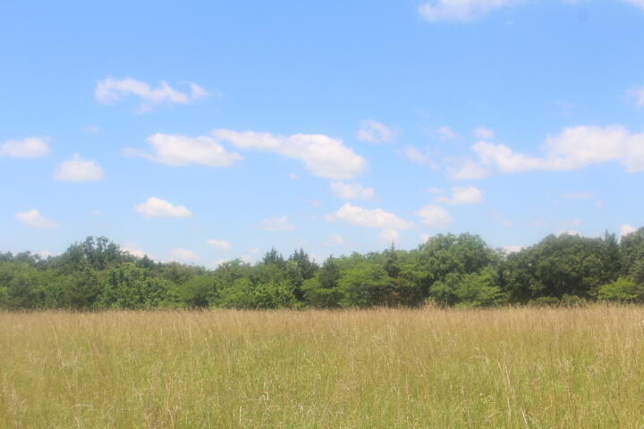 Photo 33 - Land for sale – 3176 S 170th Road  Polk, MO