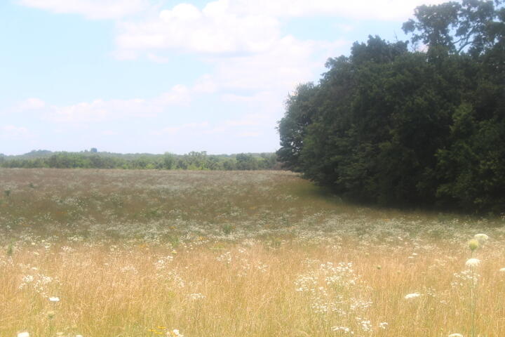 Photo 27 - Land for sale – 3176 S 170th Road  Polk, MO