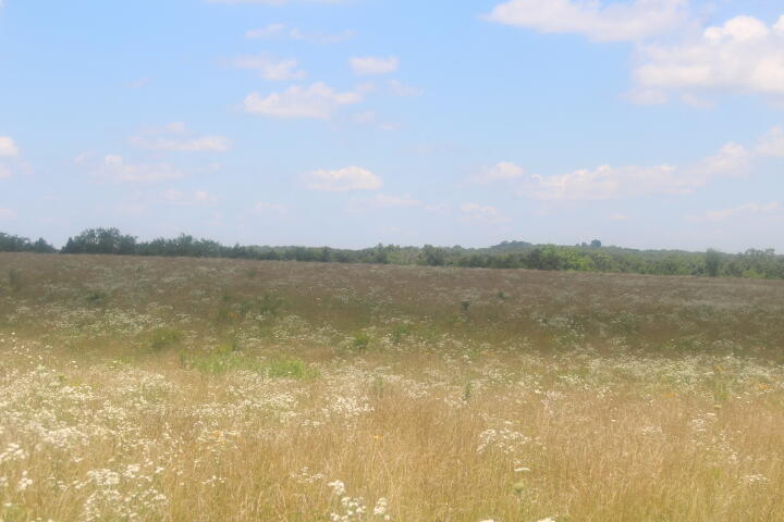 Photo 28 - Land for sale – 3176 S 170th Road  Polk, MO