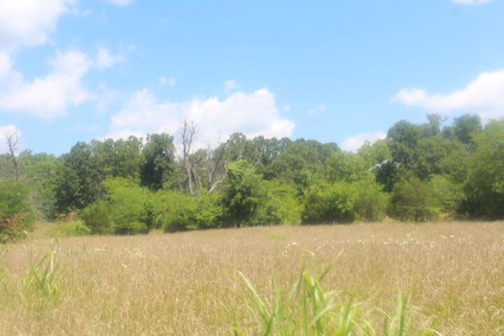 Photo 49 - Land for sale – 3176 S 170th Road  Polk, MO