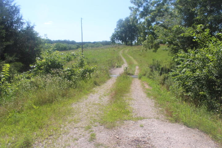 Photo 17 - Land for sale – 3176 S 170th Road  Polk, MO