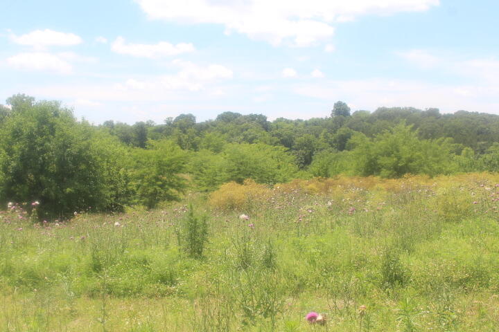 Photo 23 - Land for sale – 3176 S 170th Road  Polk, MO