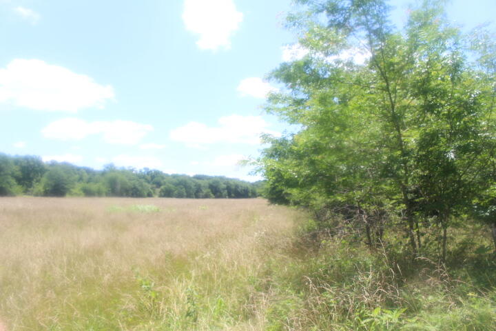 Photo 41 - Land for sale – 3176 S 170th Road  Polk, MO