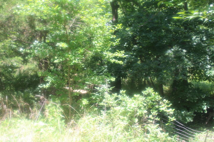 Photo 46 - Land for sale – 3176 S 170th Road  Polk, MO