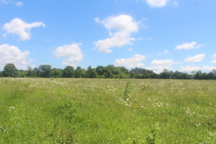 Photo 57 - Land for sale – 3176 S 170th Road  Polk, MO