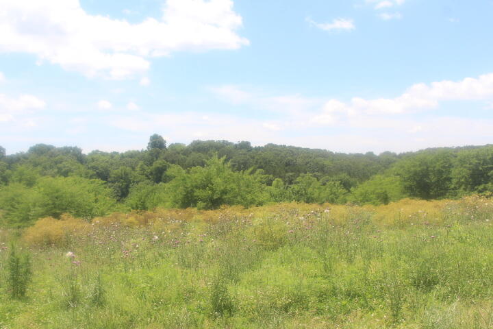 Photo 22 - Land for sale – 3176 S 170th Road  Polk, MO