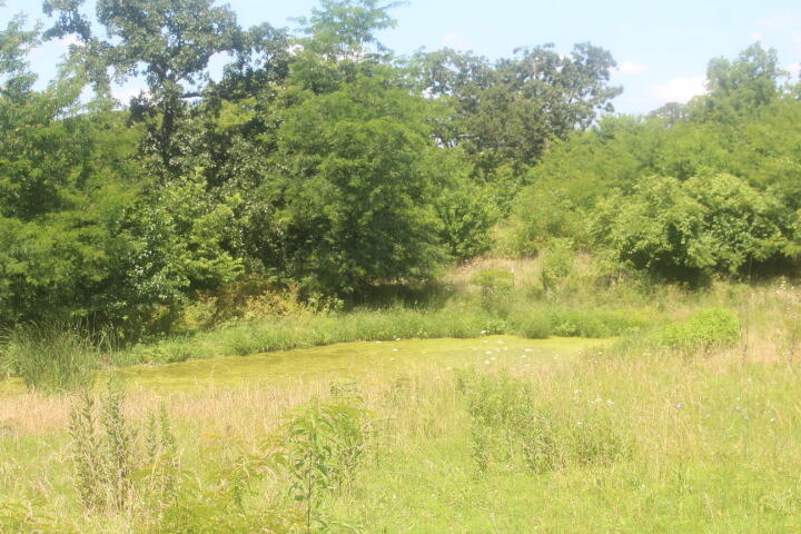 Photo 55 - Land for sale – 3176 S 170th Road  Polk, MO