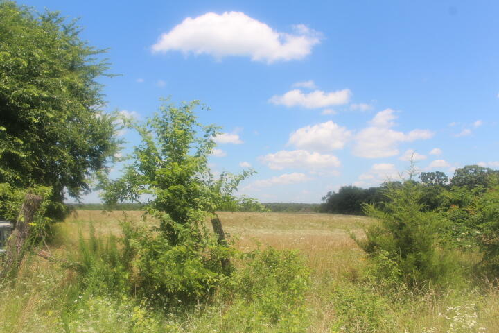 Photo 15 - Land for sale – 3176 S 170th Road  Polk, MO