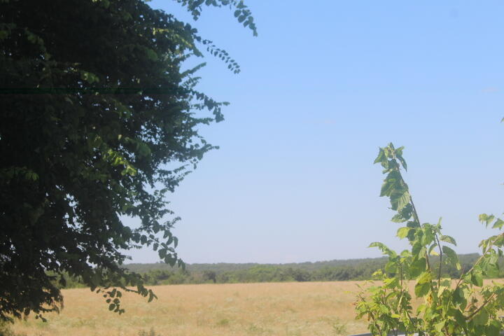 Photo 14 - Land for sale – 3176 S 170th Road  Polk, MO