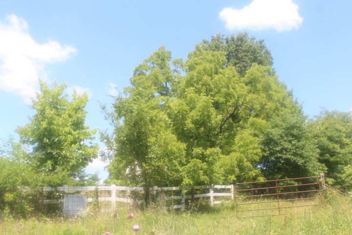 Photo 19 - Land for sale – 3176 S 170th Road  Polk, MO