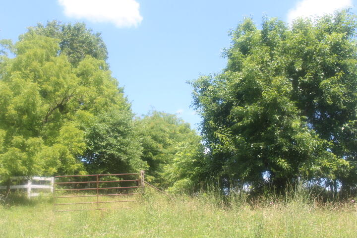 Photo 18 - Land for sale – 3176 S 170th Road  Polk, MO