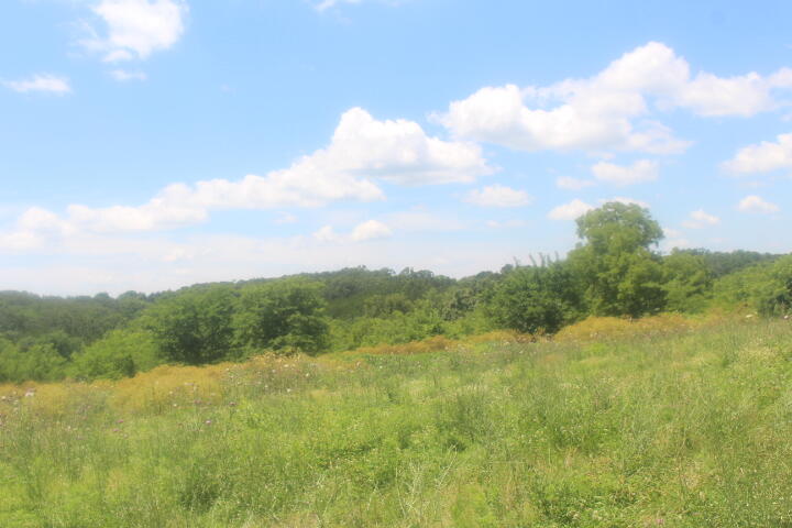 Photo 21 - Land for sale – 3176 S 170th Road  Polk, MO
