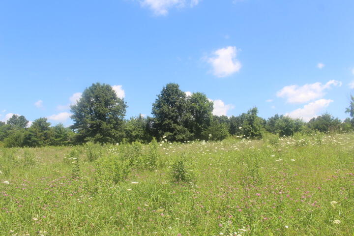 Photo 56 - Land for sale – 3176 S 170th Road  Polk, MO