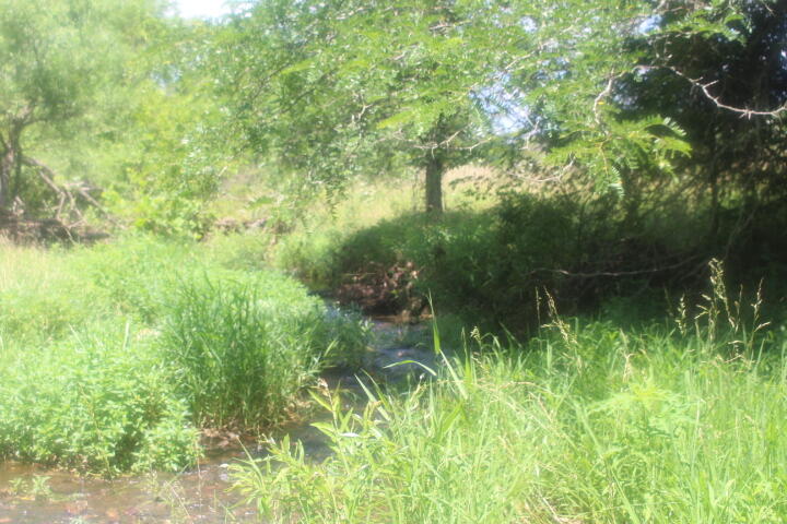 Photo 36 - Land for sale – 3176 S 170th Road  Polk, MO