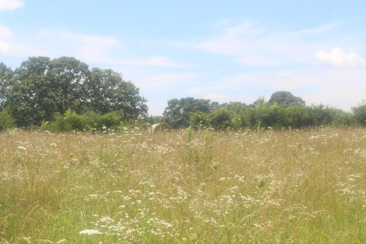 Photo 30 - Land for sale – 3176 S 170th Road  Polk, MO