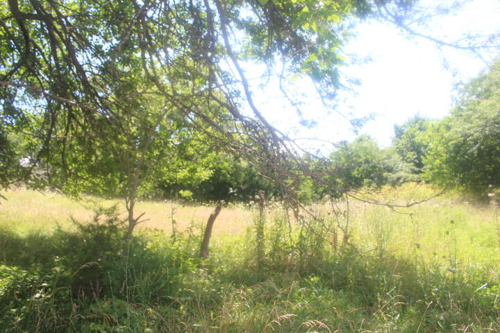 Photo 52 - Land for sale – 3176 S 170th Road  Polk, MO