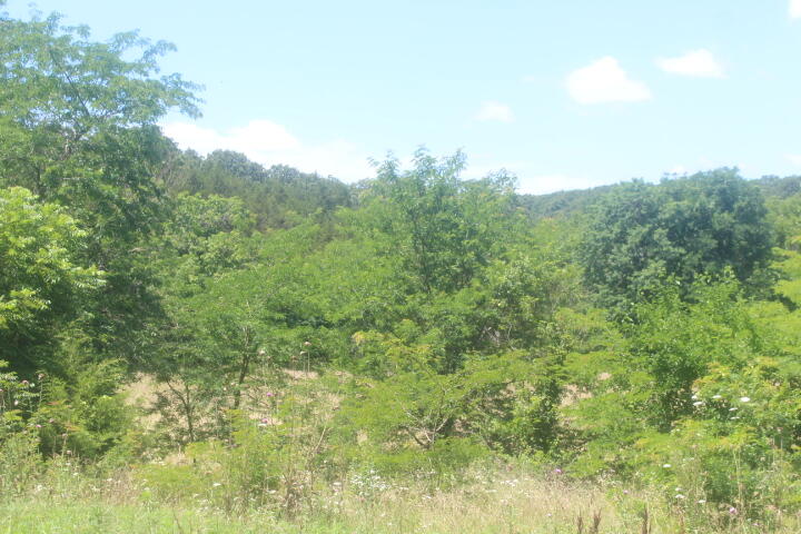Photo 54 - Land for sale – 3176 S 170th Road  Polk, MO