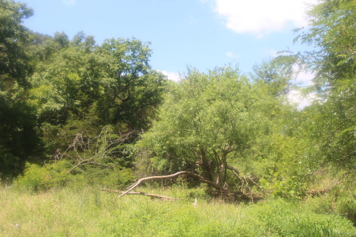 Photo 34 - Land for sale – 3176 S 170th Road  Polk, MO