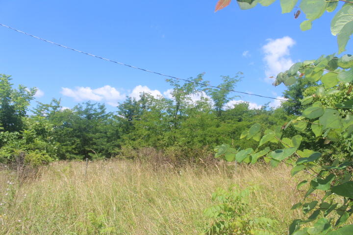 Photo 60 - Land for sale – 3176 S 170th Road  Polk, MO